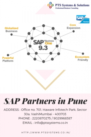 SAP Partners In Pune Has The Answer To Everything.